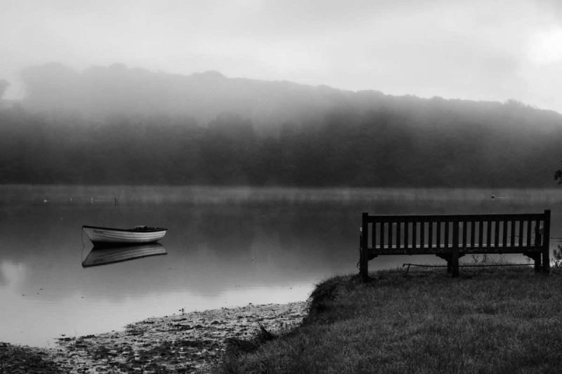 Bench by the water